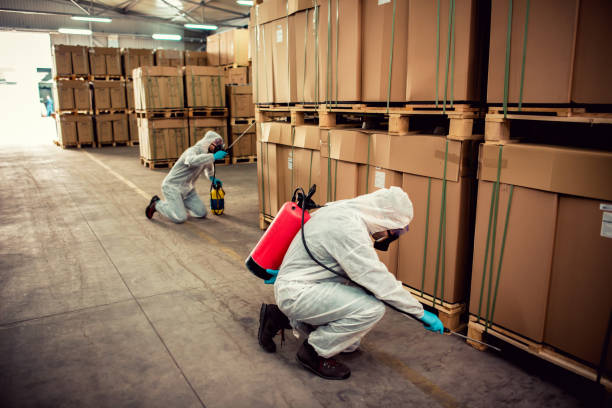Best Best Pest Control Companies  in Plumas Lake, CA