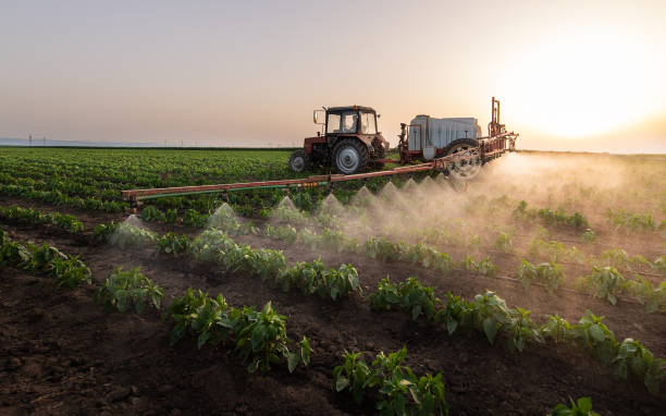 Reliable Plumas Lake, CA Pest Control Solutions