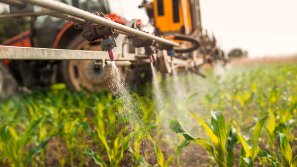 Best Pest Control Treatment  in Plumas Lake, CA